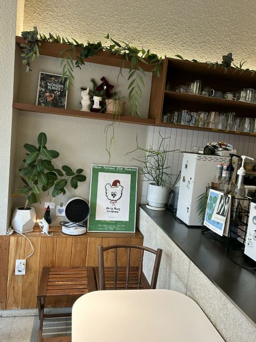 韓国/安国】可愛いサラダブランチ🥗アボカド×シュリンプ💖絶品