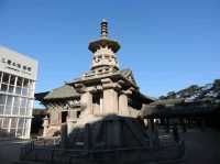 【 佛國寺 】一個統一新羅時代留下的有歷史價值的地方