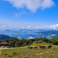 香港深度遊推薦\到郊野公園爬山看美景