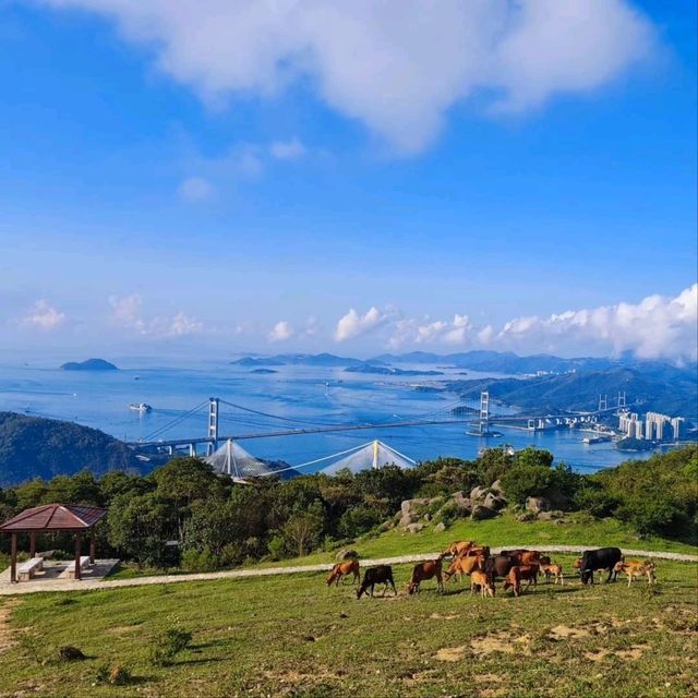 香港深度遊推薦\到郊野公園爬山看美景