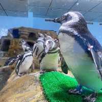 COEX商場內巨型水族館：海底奇景