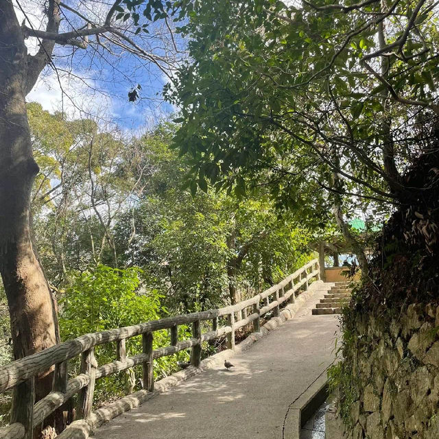 英彥山花園：山巒櫻景，山野莊園之旖旎風光