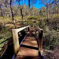 Hidden Gem  - Kitty’s Gorge Walk 
