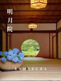 明月院の紫陽花