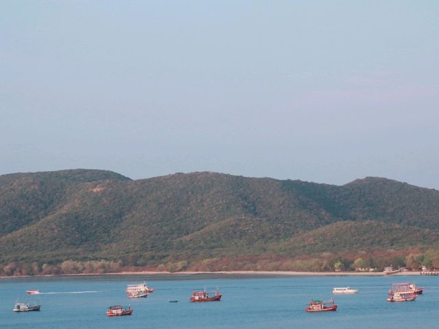 ดูมุมสูงเกาะแสมสาร