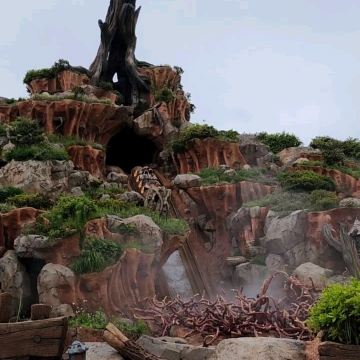 Splash Mountain at Tokyo Disneyland | Trip.com Urayasu