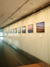📍 羽田空港 第2ターミナル 展望デッキ/東京