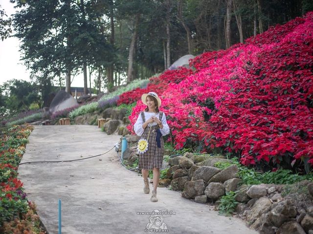 พาเที่ยวสวนละไม จ.ระยอง