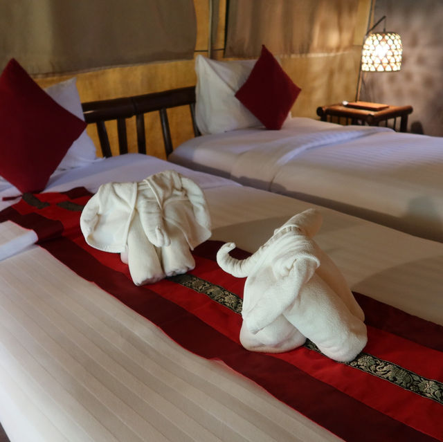 ⛺ Khaosok Boutique Hideaway  เขาสกสุราษฎร์