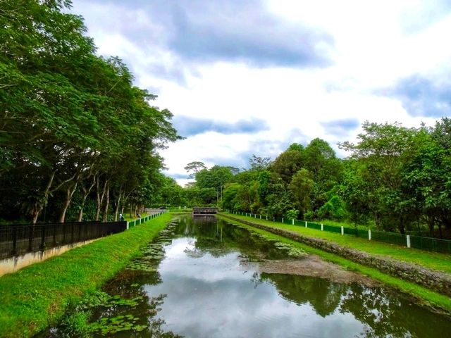 Springleaf Nature Park