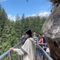 North Vancouver에 자연경관이 멋진 공원Capilano suspension Bridge Park