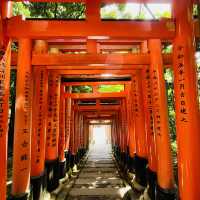 Kyoto City 