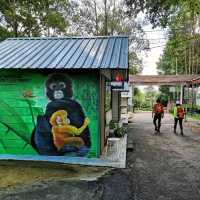 Adventurous jungle trekking at Gunung Lambak, Kluang