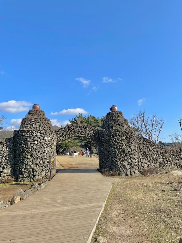 제주도 이색 체험🐪