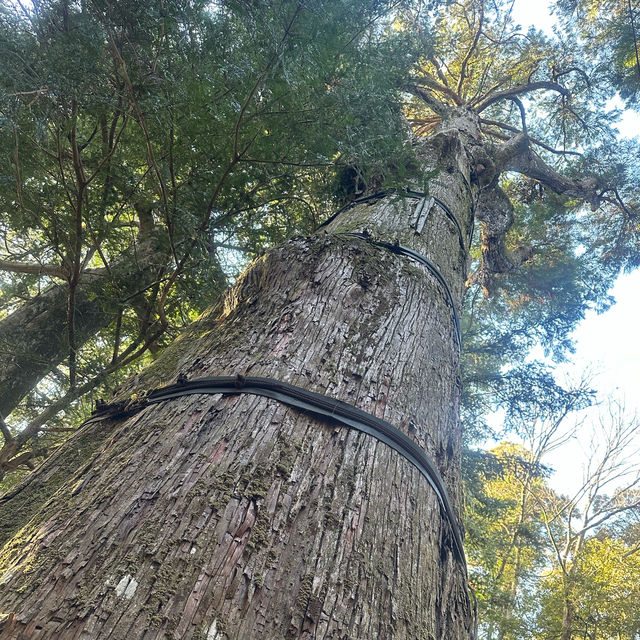 「高千穗宮」：神話發源地，感受大自然魅力