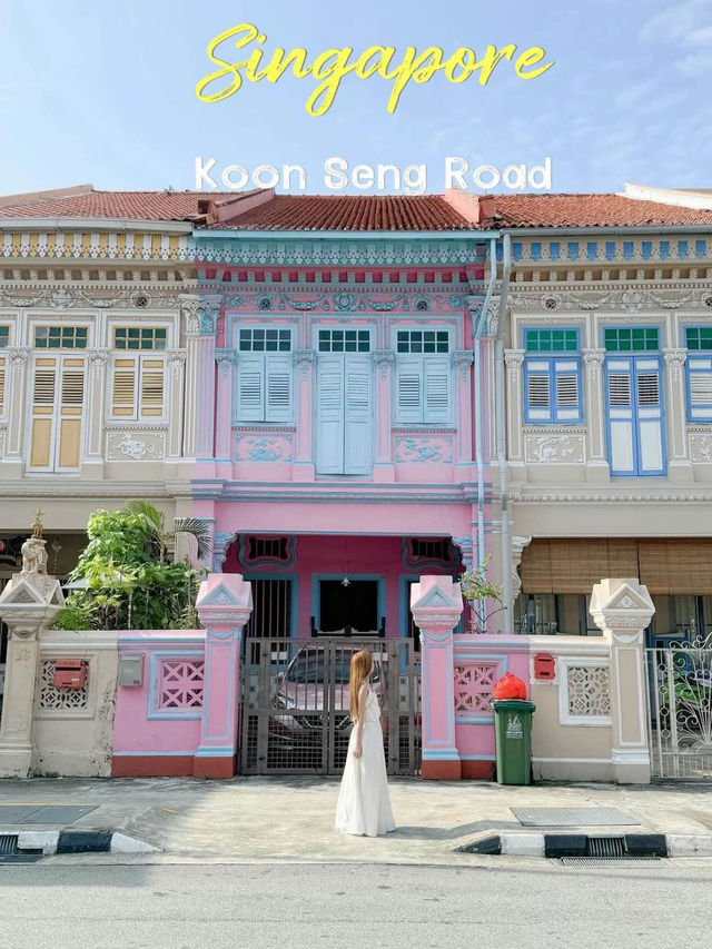 Singaporeの可愛い映えスポット！Koon Seng Roadのプラナカンハウス