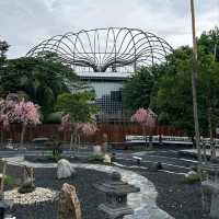 คาเฟ่ เนรมิตร ชัยภูมิ