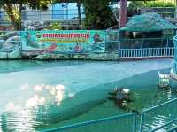 บึงฉวาก สุพรรณบุรี