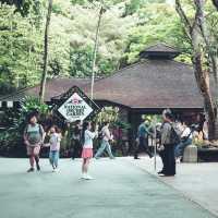 Singapore Botanic Garden