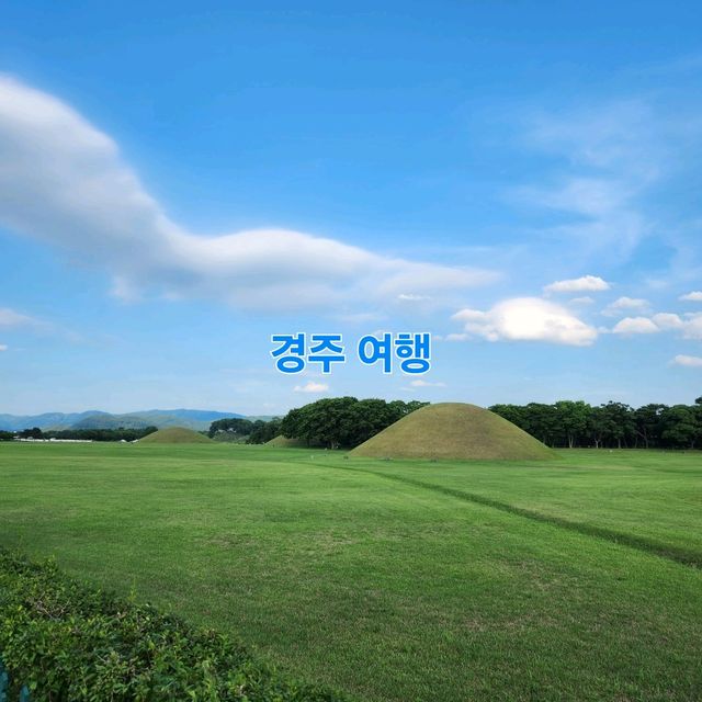 여름의 경주🩵