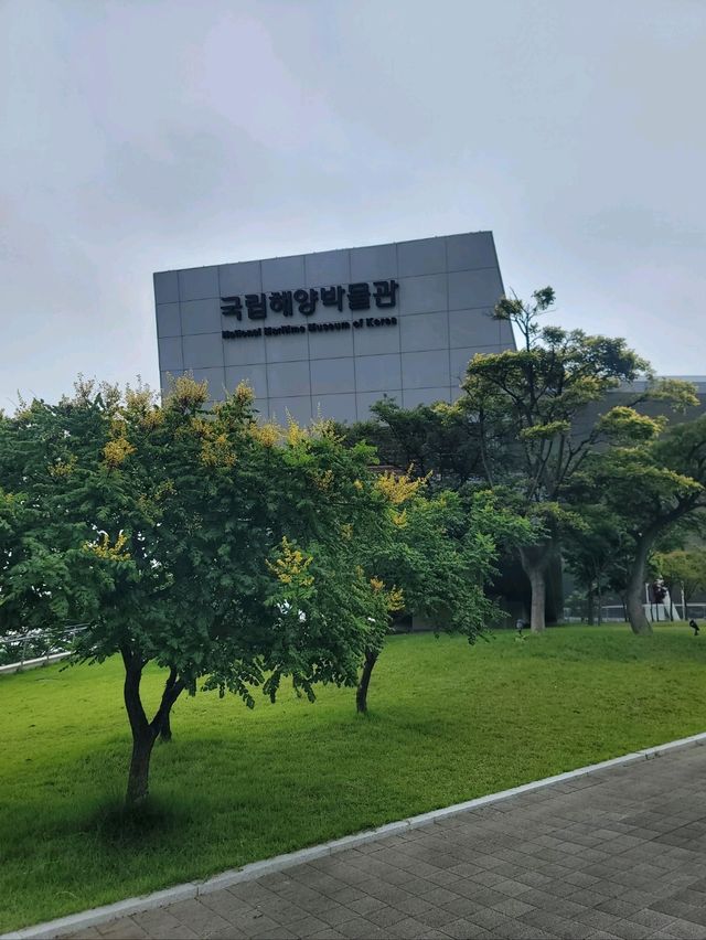 시원하게 즐기는 가족형 부산여름여행지 추천🔥