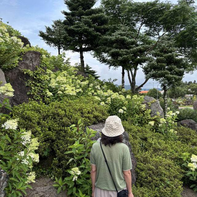 제주여행🏝️ 동화 속 작은 마을, 동쪽 송당 동화마을🩵