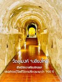 สัมผัสความสงบ ณ วัดอุโมงค์ เชียงใหม่🍃