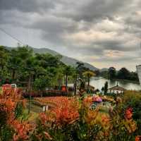 จิบกาแฟ ดื่มด่ำกับธรรมชาติรอบกาย ณ Eden Café