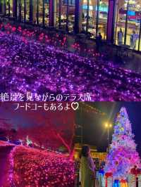 〜神奈川県〜一度は見て欲しい関東最大イルミネーション！