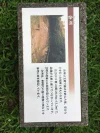 歷史的沉思：八王子城御主殿跡的壯麗遺跡