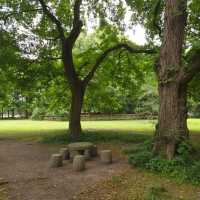 「娜麗公園：綠意盎然、錦鯉池美麗景緻，享受天然氧吧」