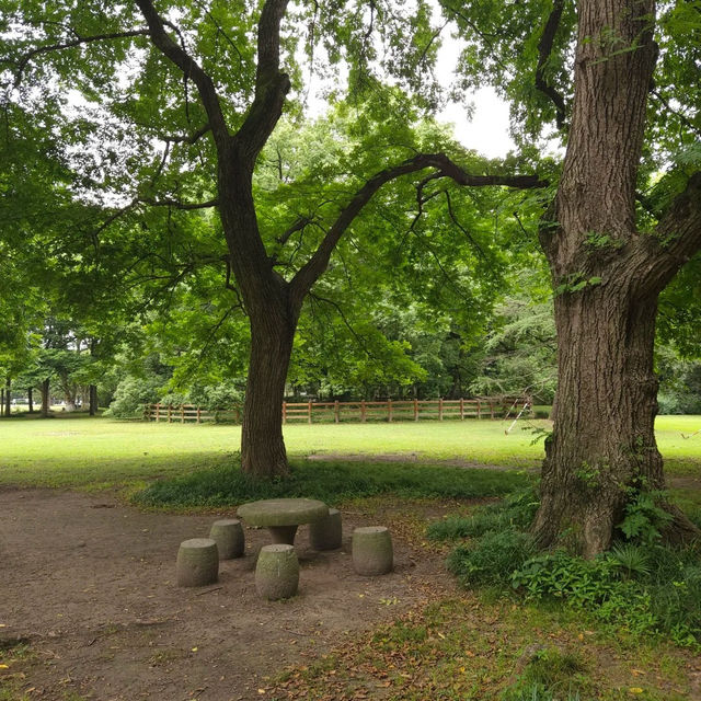 「娜麗公園：綠意盎然、錦鯉池美麗景緻，享受天然氧吧」