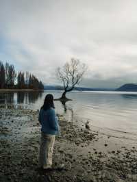 TOP 3 MUST VISIT PLACES IN NZ! 