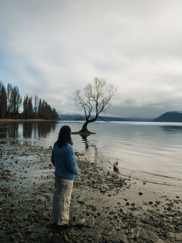 TOP 3 MUST VISIT PLACES IN NZ! 