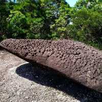 Unveiling Bako National Park: A Symphony of Nature’s Masterpieces