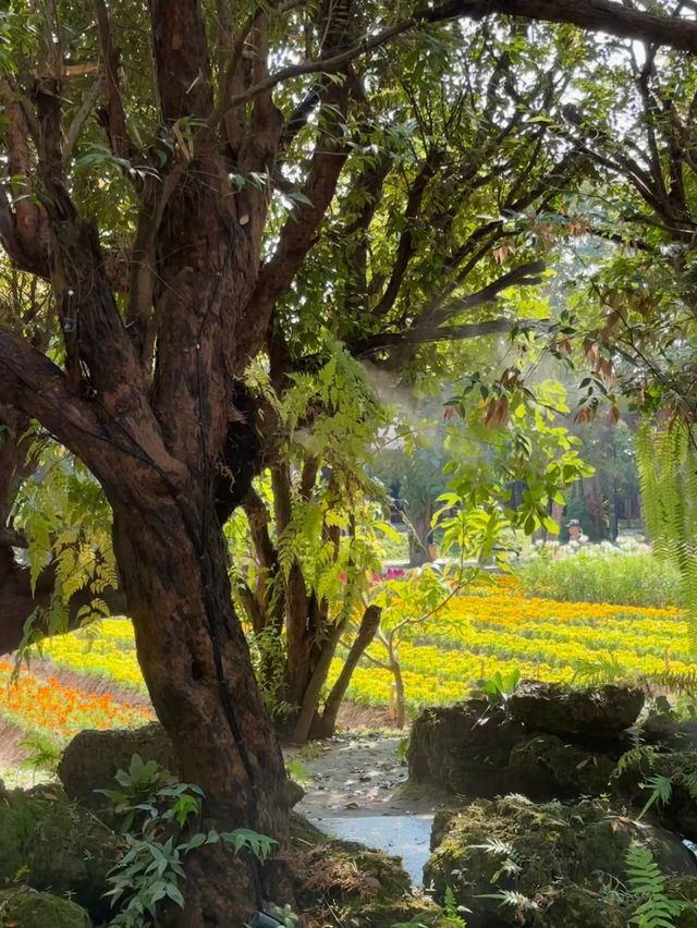 【清邁】天使瀑布：花園仙境