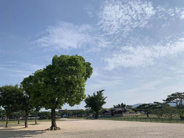 경주 여행 가볼 만한 곳