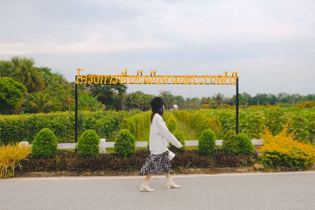 โครงการชั่งหัวมันตามพระราชดำริ 