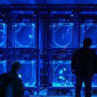 สำรวจโลกใต้น้ำใจกลางโตเกียวที่ Sumida Aquarium 🪼