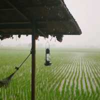 สุพรรณบุรี .||.   โฮมสเตย์ 