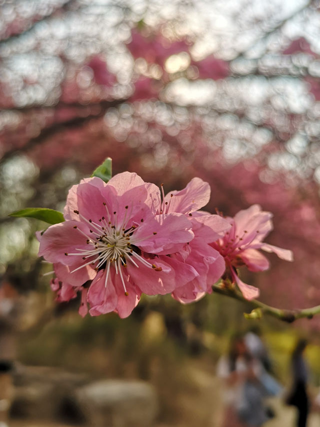 Yu Yuan Tan Park Beijing