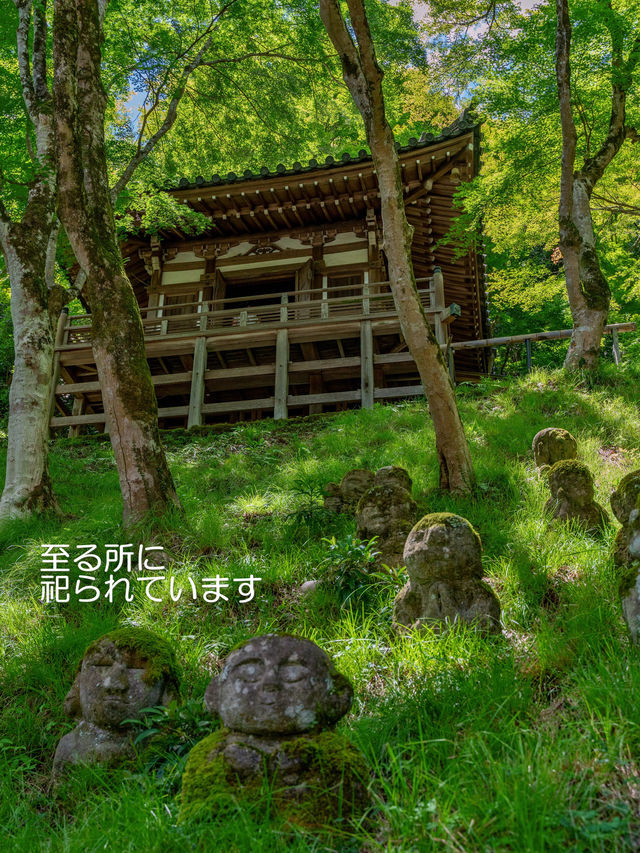 千二百体の羅漢さんに癒やされたい！そんな時は【愛宕念仏寺】