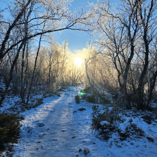 🇸🇪瑞典ABISKO國家公園與極光的相會