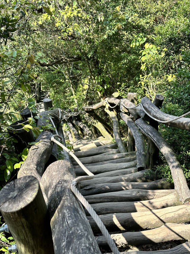 台中大坑2號步道-路線木頭製造的小型萬里長城山