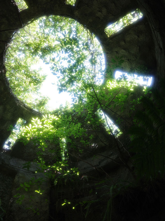 📍牧野植物園/高知