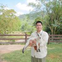 Alpacahill สรรค์ของคนรักสัตว์ที่ราชบุรี