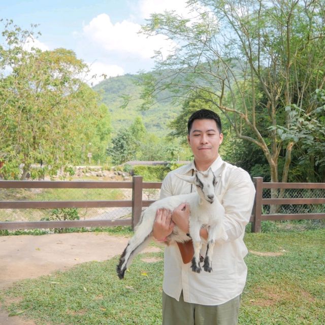 Alpacahill สรรค์ของคนรักสัตว์ที่ราชบุรี