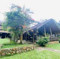 Pineyard Cafe in the Forest 🌳 Janda Baik 🇲🇾
