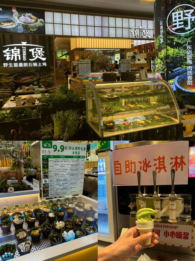 【養生墨脫石鍋】深圳必推！野生菌菇、廣東本地雞湯，鮮甜滋補！