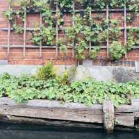 Spreewald - The Secret Labyrinth of Canals